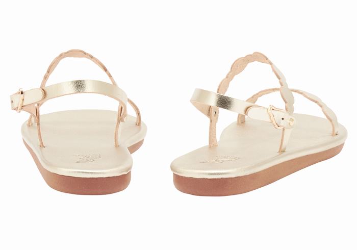 Sandales Bride Arrière Ancient Greek Sandals Orion   | XBV-4148240